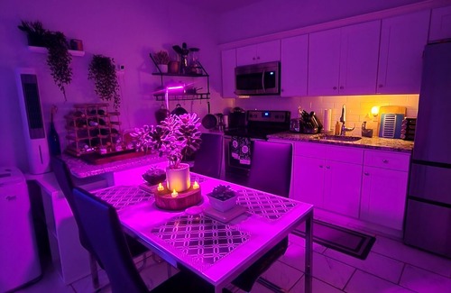 Newark Apartment | Serene Oasis