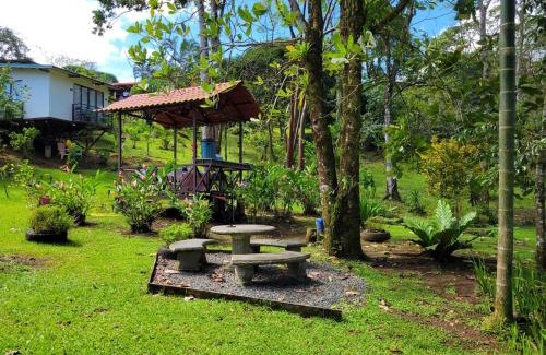 La Tigra Apartment | Serene Rainforest Escape - Studio
