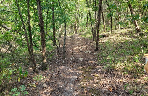 Cedarcreek RV Rental | Serene Rustic Campsites at Cedar Ridge Ranch & Trails