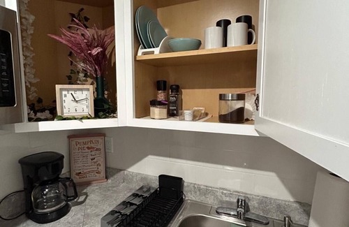 East Tampa Apartment | Serene studio