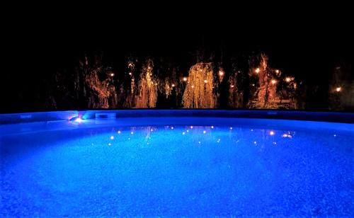 South Pandosy House | Serene Waterfront Escape with Pool, Hot Tub & Breathtaking Views - Pet Friendly