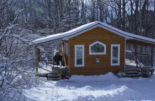 Central Huron Other | Serene Westside Tiny Cabin