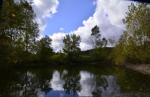 Central Huron Other | Serene Westside Tiny Cabin
