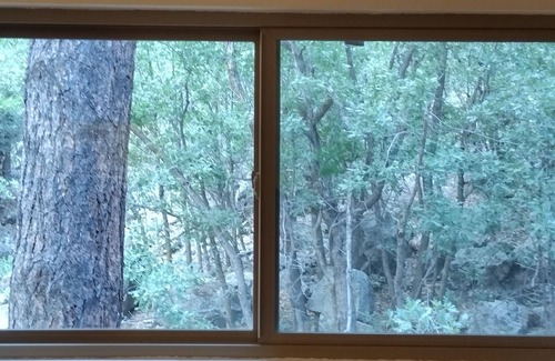 Flagstaff House | Serene, Wooded Home with Cozy Deck and Firepit! 1 Mile to Downtown!