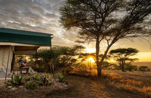 Serengeti National Park Cabin | Serengeti Woodlands Camp