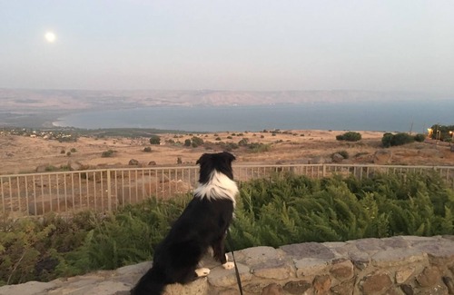 Amnon House | Serenidad ★ Private 5 stars ★ modern Galilee bliss