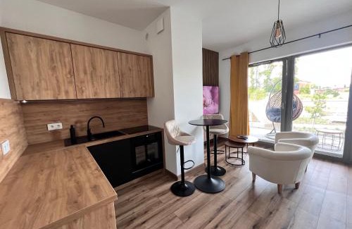 Katowice Apartment | Serenity Apartament