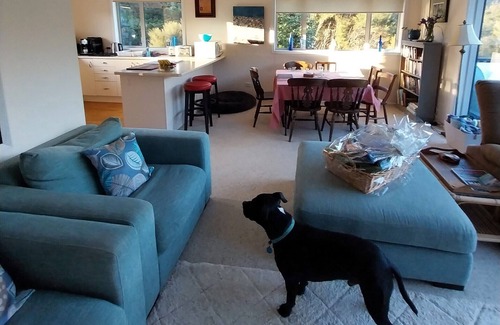 Mahau Sound House | Serenity, Comfort and Peace in the gorgeous Marlborough Sounds