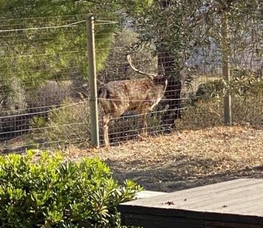 Asklipiio House | Serenity Escape