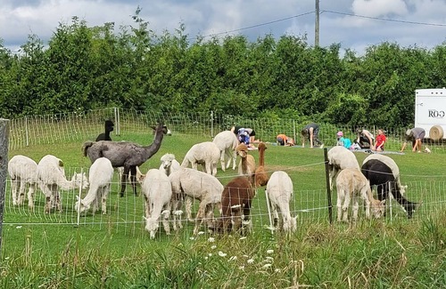 Asphodel-Norwood House | Serenity Lane Farm Stay: a trailer next to a barn full of farm animals