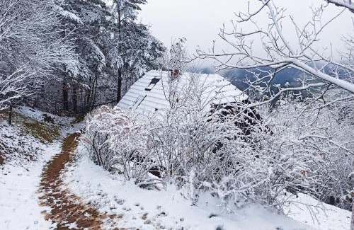 Spodnja Polskava Ski Chalet | Serenity