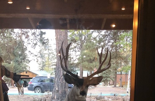 Ponderosa Pines House | Set up your basecamp at MacCabin
