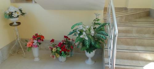 Sevan Hotel | Sevan Backstage Garden