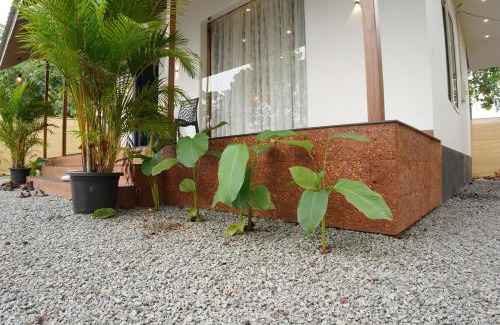 Thodupuzha Villa | Seven hillview Cottage