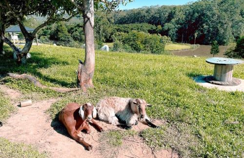 Beerwah House | Seven Peaks Farm Stay