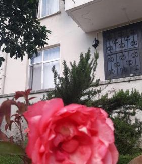 Arhavi Apartment | Seyoni Konaklama