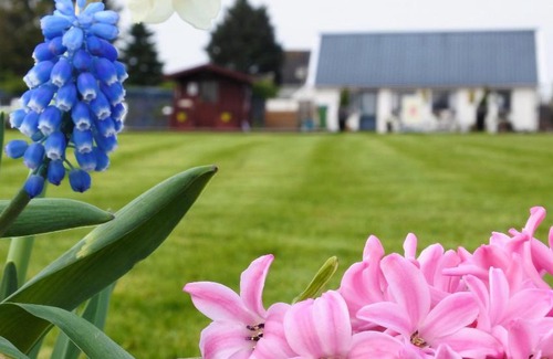 Nuis Bed & Breakfast | Sfeervol Appartement Het Knooppunt