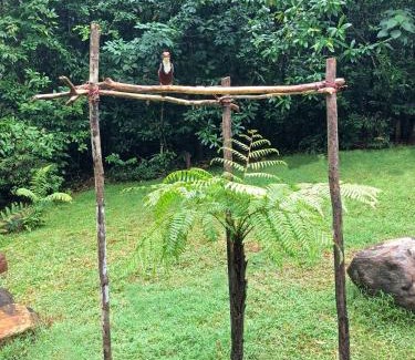 Kithulgala Other | Shadow Grove Camping & Cabins Kitulgala
