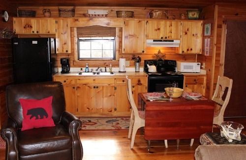 Ellijay Cabin | Shady Hollow-Romantic Couple's Getaway with Hot Tub and High Speed Internet!