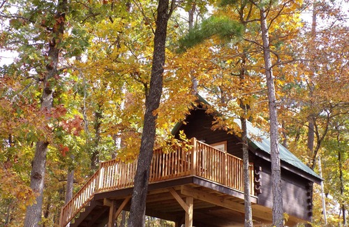 Potosi Cabin | Shady Pine Primitive Cabin 2 @Spring Lake Ranch
