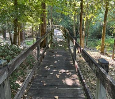 Covington House | Shady Pines Cabin