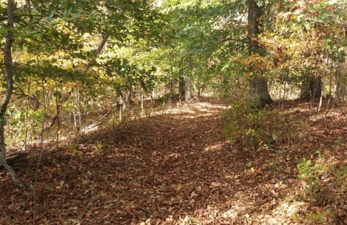 Gainesboro RV Rental | Shaggy Bark Camping3. A more private camping experience. The 75 acre Walker Farm