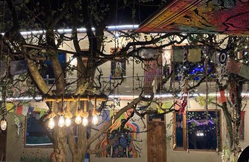 Kullu Hotel | Shalom Guesthouse and Cafe