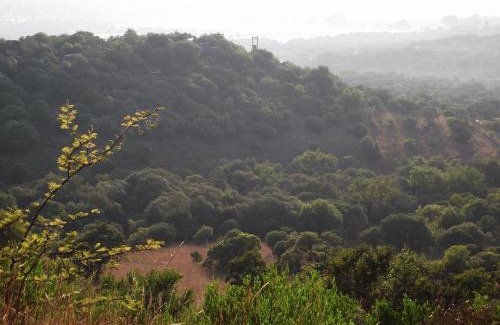 Maanhaarand Cabin | Shamba Yetu Mountain Lodge