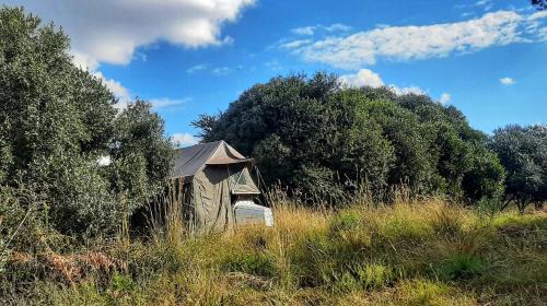 Maanhaarand Cabin | Shamba Yetu Mountain Lodge
