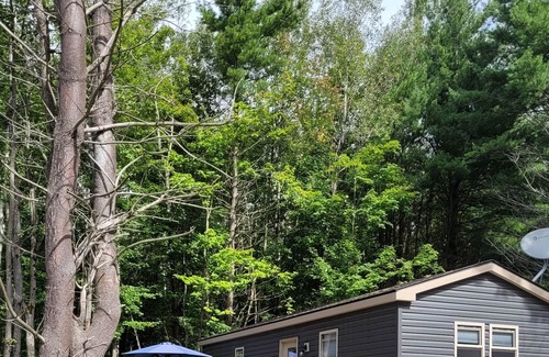 Washago Cottage | Shamrock Bay Resort 3 bedroom cottage in Muskoka