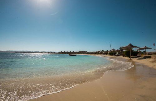 Marsa Alam Resort | Shams Alam Beach Resort