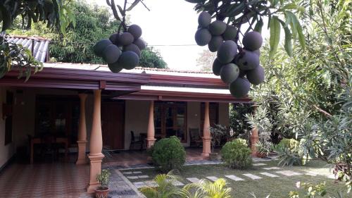Kimbissa House | Shan Mango Homestay