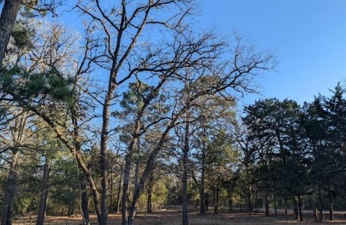 Smithville Cottage | Shanti Cottage in the Lost Pines