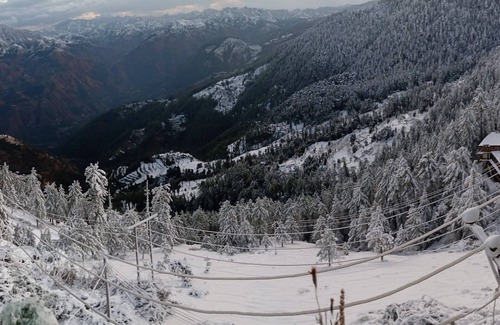 Shimla Apartment | Shanti jungle cottages.A perfect home to stay in Shimla in very reasonable price