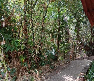 Amboli Bed & Breakfast | Shantidarshan Homestay