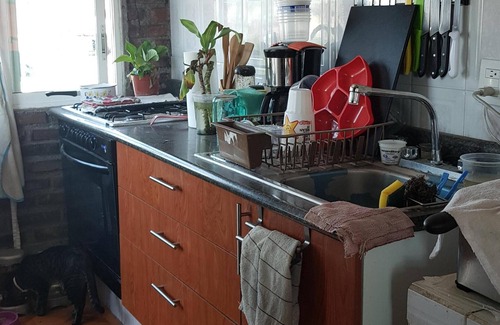 Coyoacan Apartment | Shared Room for travelers in Exchange to study in Unam