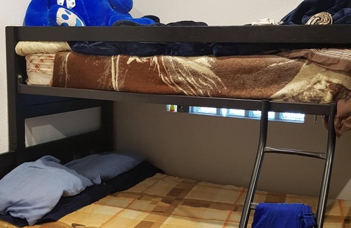 Coyoacan Apartment | Shared Room for travelers in Exchange to study in Unam
