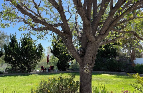 North Valley House | Shared Charming 1-bedroom in wonderful Oceanside with AC, WiFi