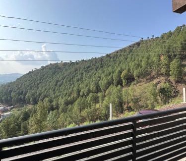 Abbottabad Other | Sharfus cottage