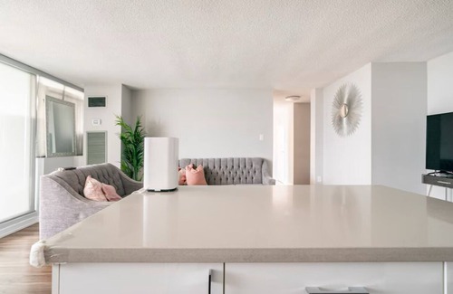 Downtown Mississauga Apartment | Shavy’s cozy room in a two bedroom apartment
