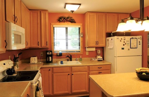 Moran Cabin | Shawandasee on Brevort Lake