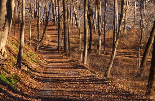 East Stroudsburg House | Shawnee Sanctuary