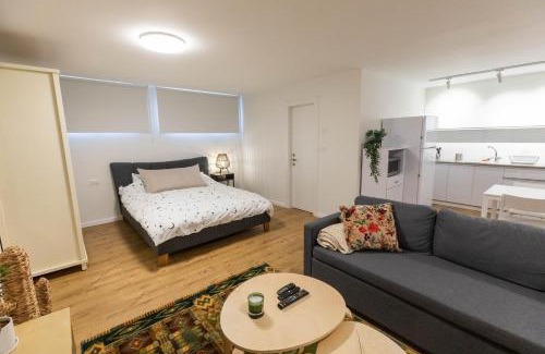 Ramat Gan Apartment | Sheba-Shik apartment, Tel hashomer שיבא-שיק, תל השומר,דירת סטודיו מקסימה!