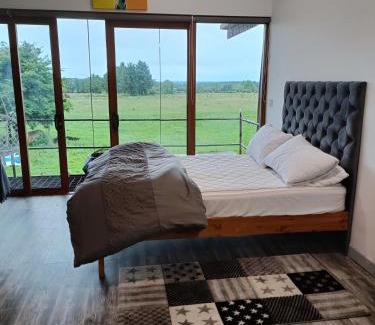 Jamestown House | Shed Loft apartment
