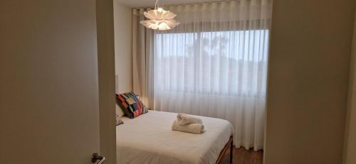 Santo Antonio Apartment | Shell Living - KOS