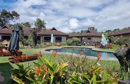 Shelly Beach Apartment | Shelly beach ,bondi beach,unit 25