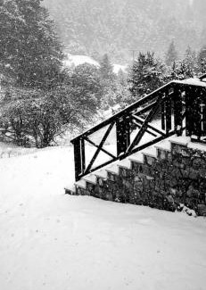 Kalavrita Ski Chalet | Shelter