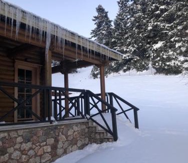 Kalavrita Ski Chalet | Shelter