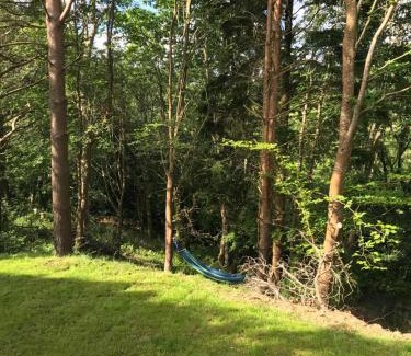 Liskeard Other | Shepherd's hut at Rosewood House