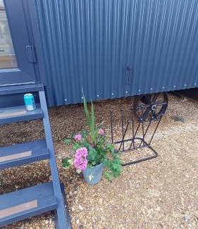 Alton Resort | Shepherd's Huts -at- Chawton Park Bungalow